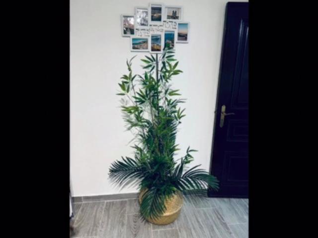 Casinha Da Palmeira นาซาเร ภายนอก รูปภาพ